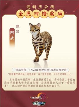 天龙八部私服卡致命
